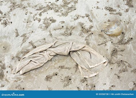 Dirty Cloth On The Beach Stock Photo Image Of Shore 33358738