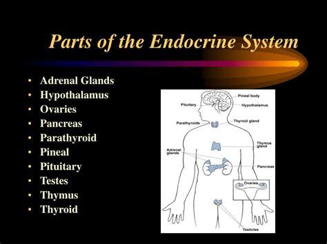 Ligand Endocrine System
