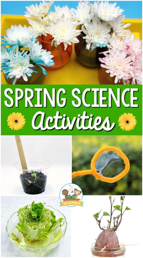 These five prewriting activities for preschoolers are sure to get your child ready to write! Spring Science Activities for Preschoolers