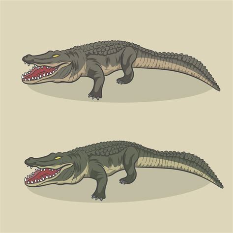 Alligator Vector Illustration 5476910 Vector Art At Vecteezy