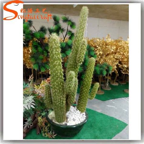 Common problems with succulents and how to fix them. Wholesale Garden Supplies All Types Of Cactus Names Plants ...
