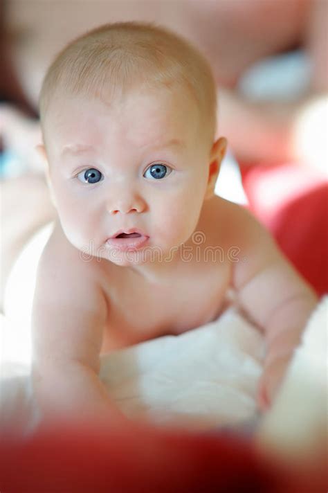Sweet Baby Boy Portrait Stock Photo Image Of Baby Gregarious 51940858