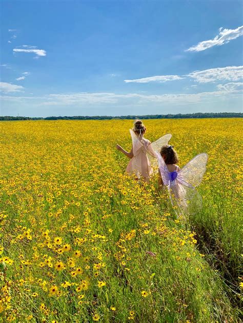 Fairy In Flower Field Wallpapers Wallpaper Cave