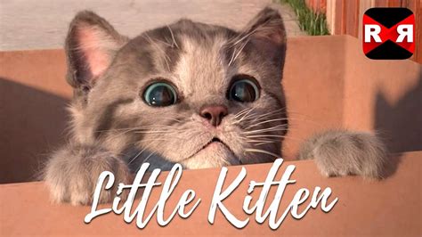 Little Kitten My Favorite Cat Best Interactive App For Kids