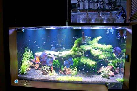 Planted Freshwater Aquarium Lighting Orphek