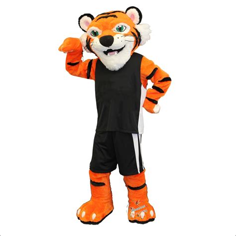 School Male Tiger Mascot Costume