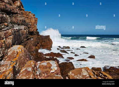 Waves Of The Atlantic Ocean Breaking At The Rocks Of Cape Of Good Hope