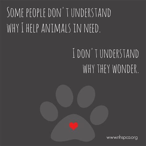 Some People Dont Understand Why I Help Animals In Need I Dont