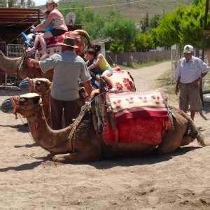 Bodrum, turkey, is an increasingly popular luxury travel destination. Photo Gallery of Camel Beach Kargi Bay - Bodrum Travel ...
