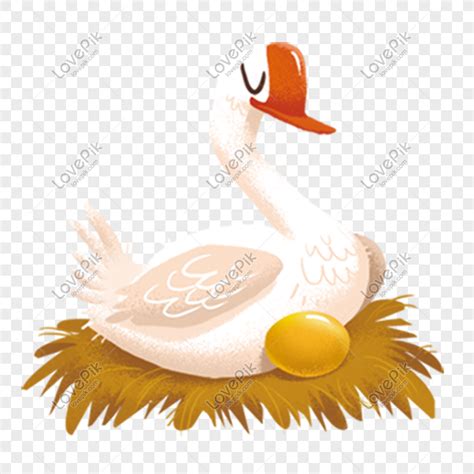 Hand Drawn Illustration Of Golden Egg Goose Png Hand Drawn