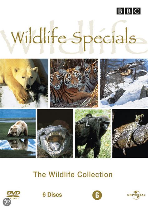 Wildlife Collection Wildlife Specials Documentary Dvd