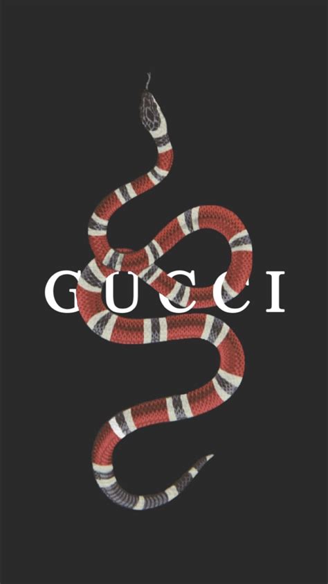 See more ideas about gucci, gucci wallpaper iphone, iphone wallpaper. Pin by Maggie Hasson on ᴮᴬᶜᴷᴳᴿᴼᵁᴺᴰˢ & ᴱᴰᴵᵀˢ | Gucci ...