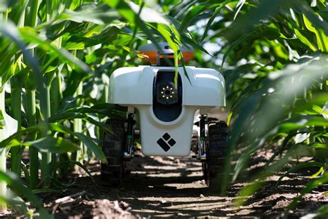 Robots De Servicios Profesionales Para La Agricultura Actividad De