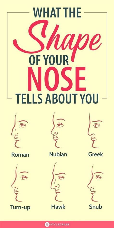 What The Shape Of Your Nose Tells About Your Personality Nose Shapes