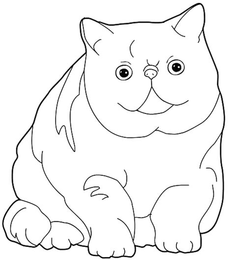 Farm and companion animals for coloring. Cats Coloring page of a big fat Cat sitting coloring pages
