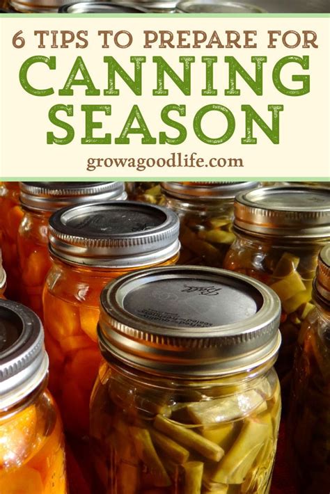 Are You Growing A Vegetable Garden With The Goal Of Preserving The