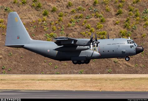 16803 Lockheed C 130h Hercules Portugal Air Force Alex Maio