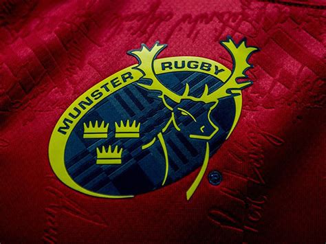 Rugby365 Munster Head Hunting Bok Assistant