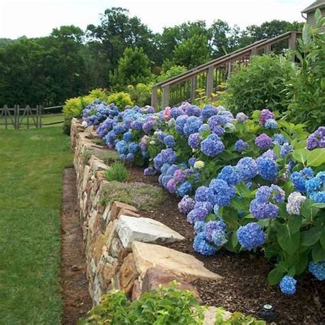 63 Beautiful Backyard Garden Remodel Ideas And Design 5 Landscaping