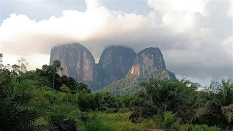 Lembah Di Kalimantan Yang Perlu Diketahui Ada Lembah Kahung Dan Bawang