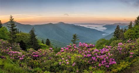 25 Best Places To Visit In North Carolina