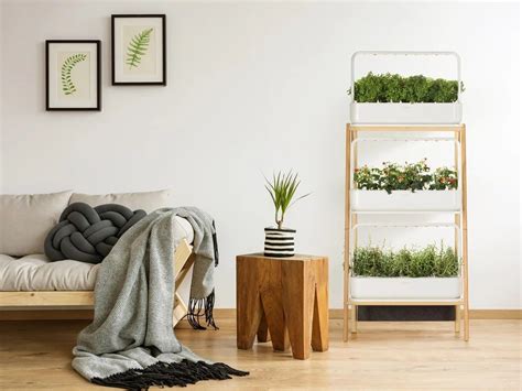 Indoor Smart Garden Lets You Grow Your Own Organic Food Using Minimal
