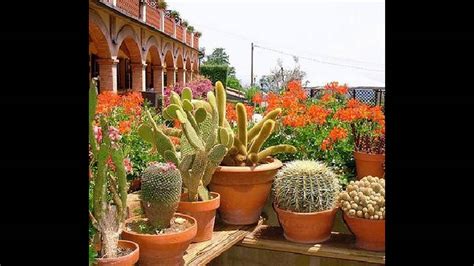 Cactus Garden Design Ideas Youtube