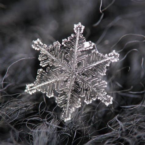 6 Amazing Close Ups Of Individual Snowflakes From This Winter