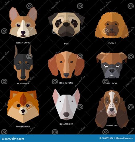 Dogs Heads Of Different Breeds Stock Vector Illustration Of Head