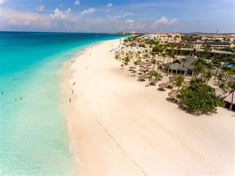 Manchebo Beach Resort Eagle Beach Aruba Aruba All