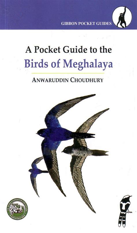 A Pocket Guide To The Birds Of Meghalaya Nhbs Field Guides And Natural