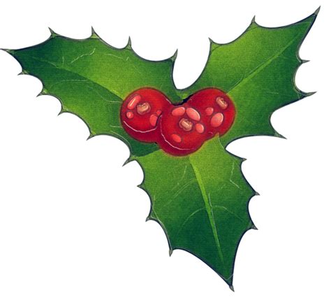 Christmas Holly Plant Leaf For Holly For Christmas 1300x764
