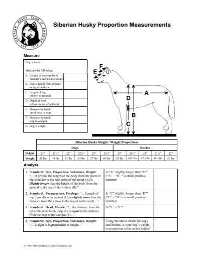 Siberian Husky Proportion Measurements Siberian Husky Club Of