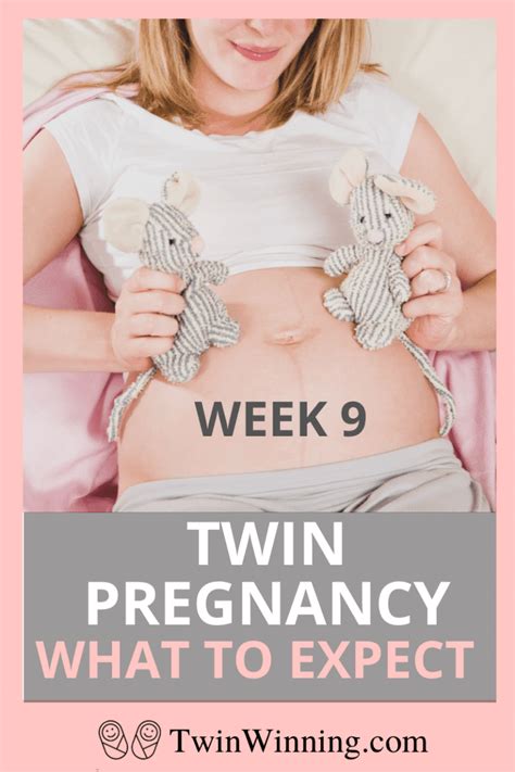 Twin Pregnancy Week Symptoms Size Development Twin Winning