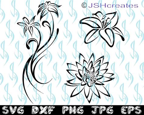 Lily Svg Lilies Lily Flower Svg Lily Flower Waterlily Etsy Lily