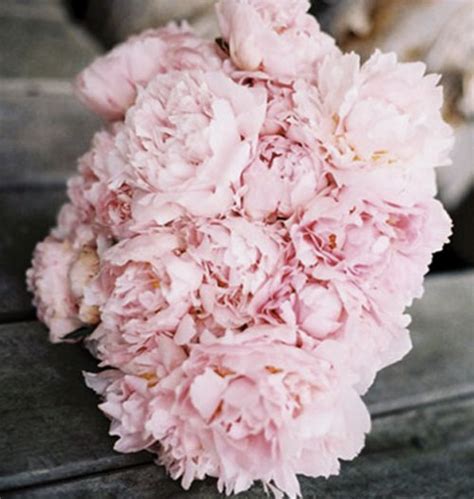 Light Pink Peonies Bouquet Wedding Flower