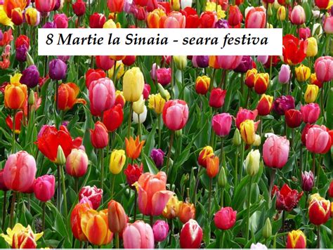Luna martie este prima lună de primăvară, luna în care mimozele galbene și ciocolata sunt daruri oferite frecvent și femeilor din rusia și albania, în ziua de 8 martie. 8 Martie Ziua Femeii la Sinaia seara festiva, transport