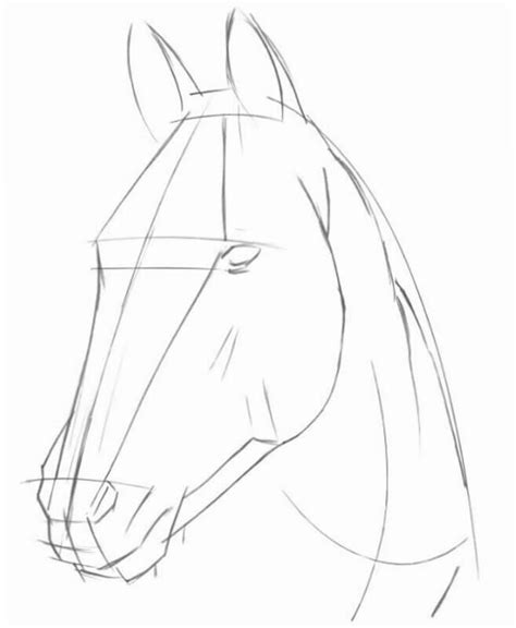 How To Draw A Horses Head Step By Step Drawing Tutorial