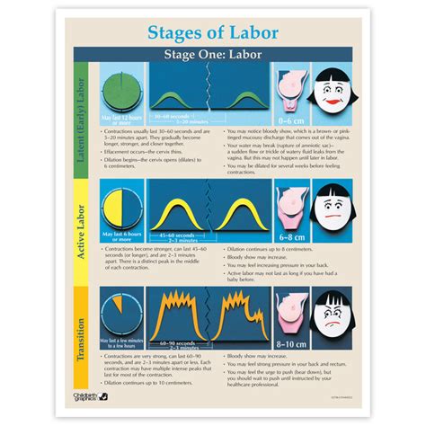 Stages Of Labor Educational Tear Pad Childbirth Graphics