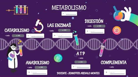 Metabolismo By Naturalesravasco On Genially Hot Sex Picture