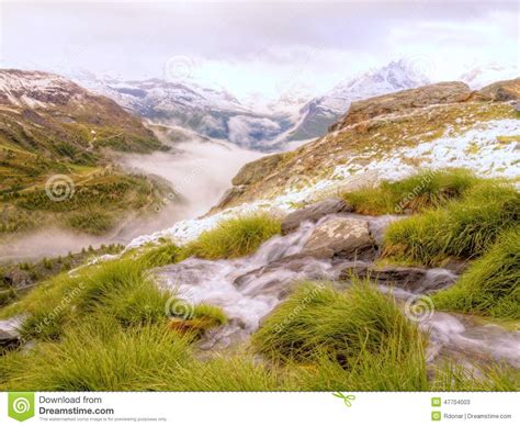 Brook In Fresh Alps Meadow Snowy Peaks Of Alps In Background Cold