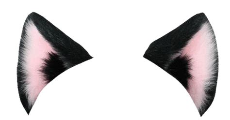 Result Images Of Cat Ears Transparent Png PNG Image Collection