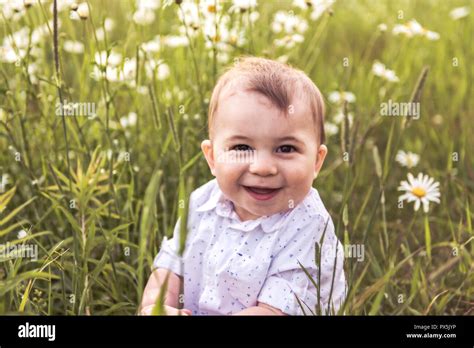 A Happy Baby Boy Standing In Grass On The Field Of Daisy Stock Photo