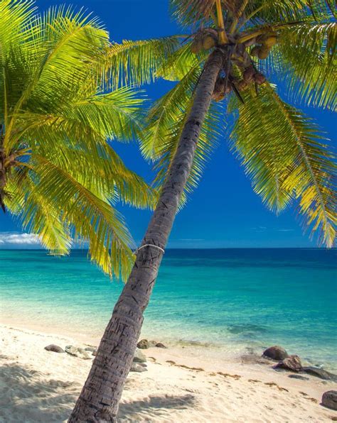Tropical Beach Wallpaper For Android Apk Download