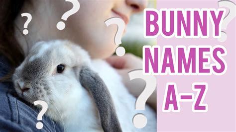 What To Name My New Bunny ~ Cute Bunny Names A Z List Youtube