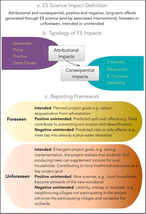 Systemic Impact Reporting Framework The Figure Presents A A