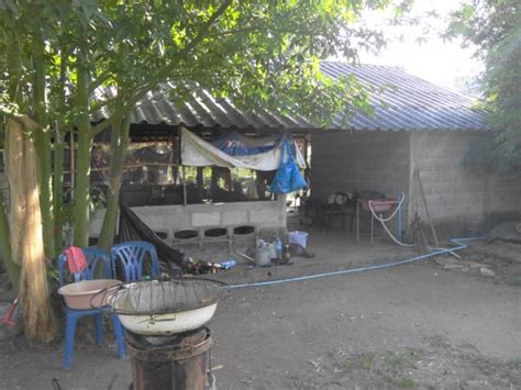 Видео haus bau thailand канала danlo arnitrans. Haus bauen in Thailand mit wenig Geld - Thailand-Info und ...