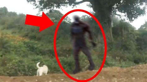 5 Scary Things Caught On Camera And In Real Life Bigfoot Youtube