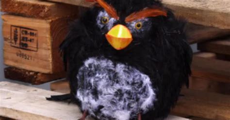 Lol Faux Real Life Movie Trailer For Popular Video Game Angry Birds