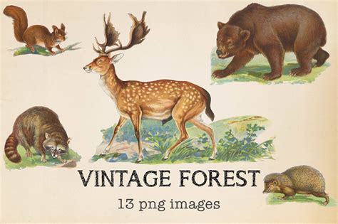 Vintage Forest Animals Design Cuts